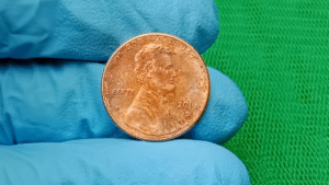 The Lincoln Wheat Penny Valued at $3360000, Still in Circulation