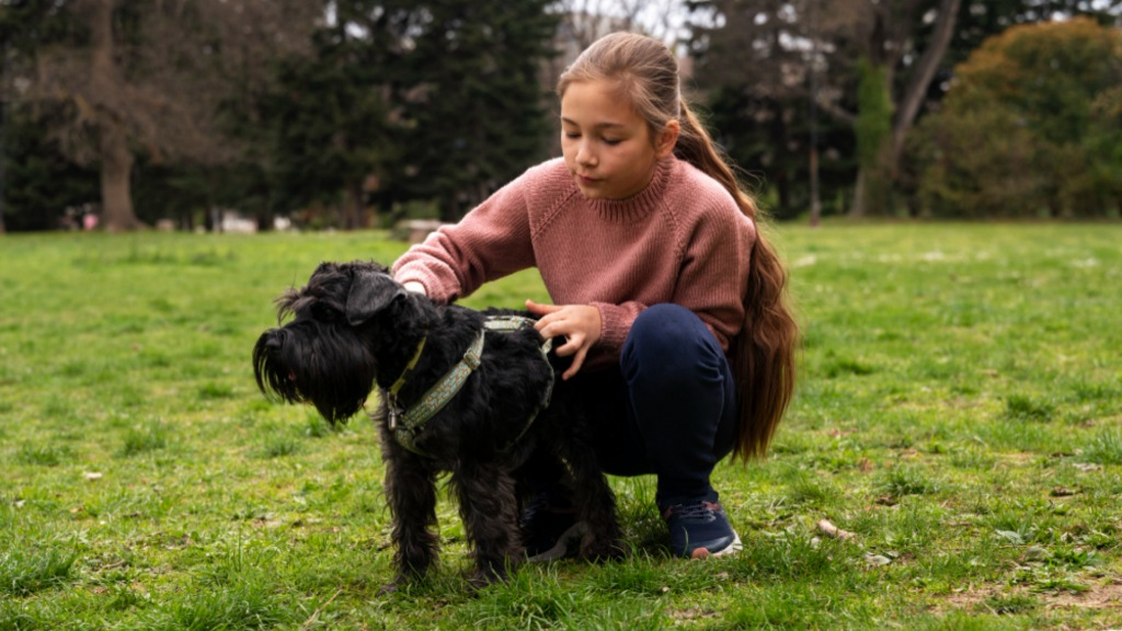 Miniature Schnauzer: The Fearless Alarm System