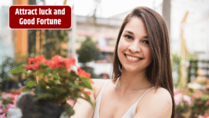 Top 3 Chinese Zodiac Signs That attract luck and Good Fortune